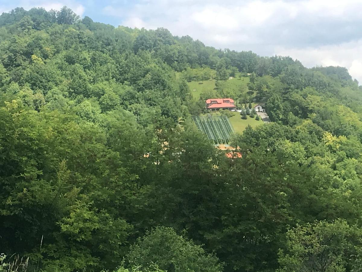 Kuca Za Odmor Magdalena&V Daire Krapina Dış mekan fotoğraf