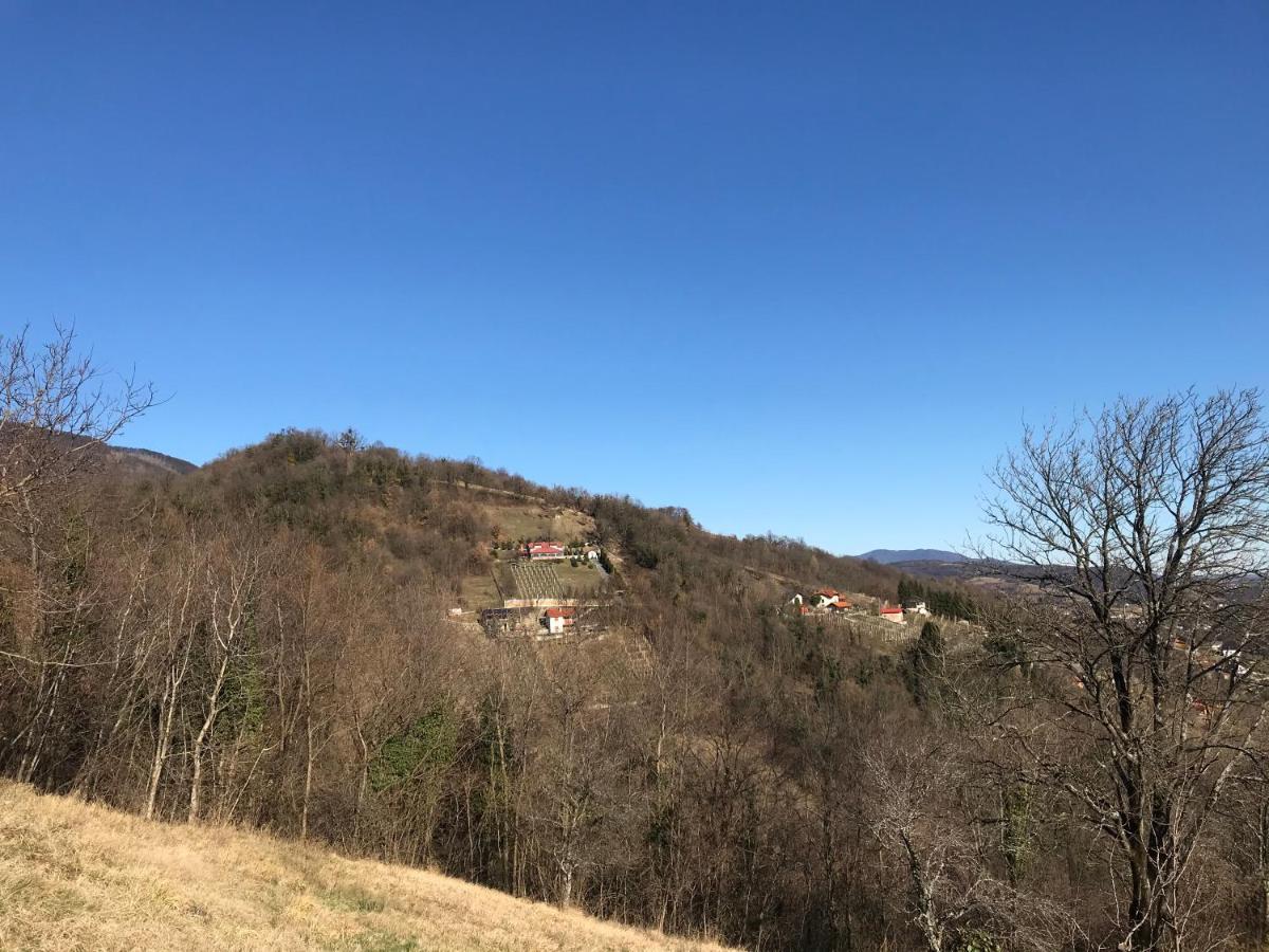 Kuca Za Odmor Magdalena&V Daire Krapina Dış mekan fotoğraf